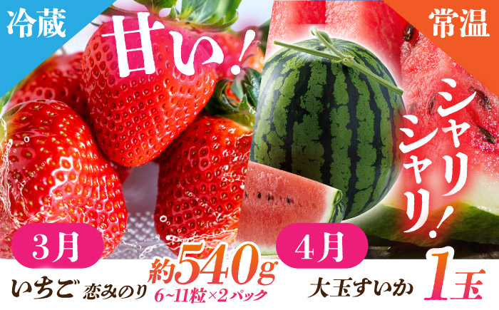 【先行予約】【6回定期便】 フルーツの名産地 山鹿から直送のあま～い幸せ 熟成芋と旬のフルーツ くまもと さつまいも みかん いちご すいか メロン ブルーベリー こだわり
