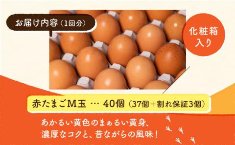 【全6回定期便】 【化粧箱入り】赤たまご M玉 40個 (37個＋割れ保証3個)【農事組合法人 鹿本養鶏組合】 [ZCA004]