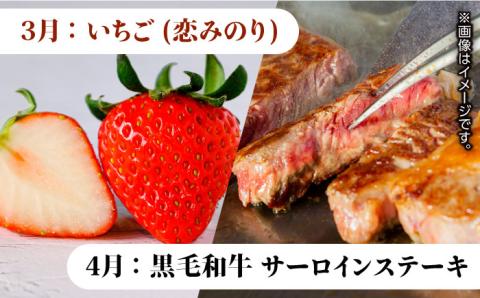 【先行予約】【4回定期便】肉と果物 定期便 ～熊本のうまかもん～ [ZZZ003]  フルーツ定期便 果物 くだもの 果物定期便 フルーツ定期 くまもと黒毛和牛 九州産黒毛和牛 ステーキ