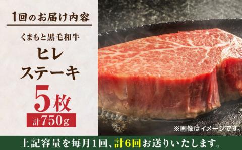 【6回定期便】くまもと黒毛和牛 ヒレステーキ 計750g（5枚）【馬刺しの郷 民守】 九州産 和牛 お肉 肉 ステーキ ヒレ ヒレステーキ  [ZBL083]