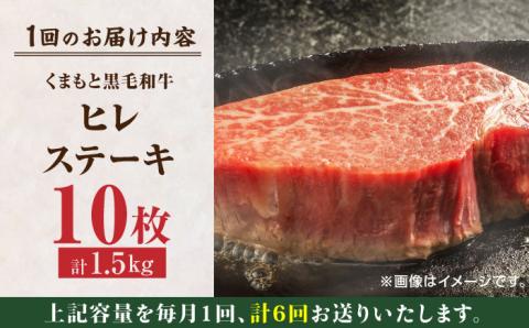 【6回定期便】くまもと黒毛和牛 ヒレステーキ 計1500g（10枚）【馬刺しの郷 民守】 九州産 和牛 お肉 肉 ステーキ ヒレ ヒレステーキ  [ZBL084]
