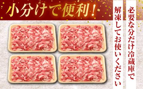 熊本県産 黒毛和牛 切り落とし 計約1kg (約250g×4P)【有限会社九州食肉産業】 小分け 国産 A4 A5 山鹿 [ZDQ019]