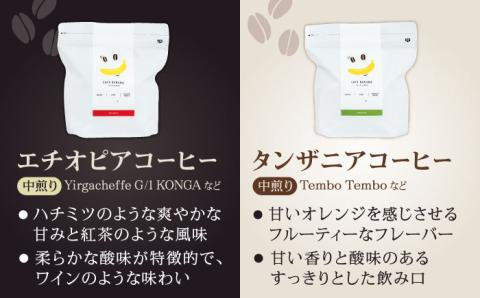 【6回定期便】【豆のまま】自家焙煎 スペシャルティコーヒー 豆 （ 250g × 2種 ）約40杯分【かきやま果実】 [ZCJ016]