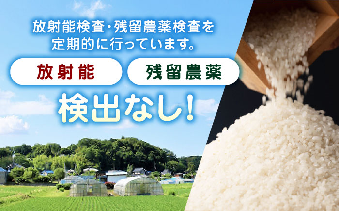 12回定期便】くまさんの輝き 無洗米 5kg【有限会社 農産ベスト