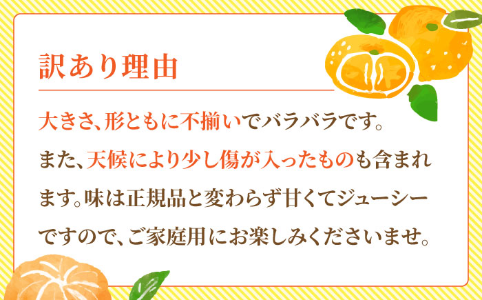 【先行予約】【2回定期便】【訳あり】家庭用 みかん 約3kg 詰め合わせ 柑橘【合同会社 社方園】 [ZBZ033]