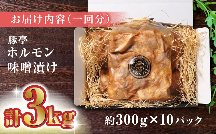 【12回定期便】豚帝  豚 ホルモン 味噌漬け 3kg (300g×10)【KRAZY MEAT(小田畜産)】 [ZCP133]