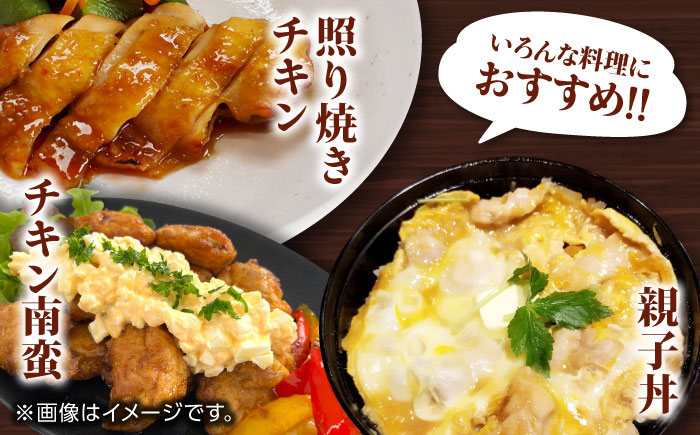 【6回定期便】肥後のうまか 赤鶏  3種食べ比べセット（もも むね ささみ）各1kg【やまうちフード株式会社 熊本営業所】  国産 九州産  鳥 セット 肉 [ZAB016]