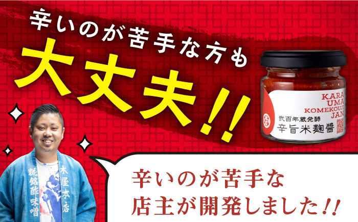 辛旨 米麹 醤シリーズ 〈辛さ普通タイプ〉（65g×3）【有限会社 木屋食品工業】 [ZAD022]