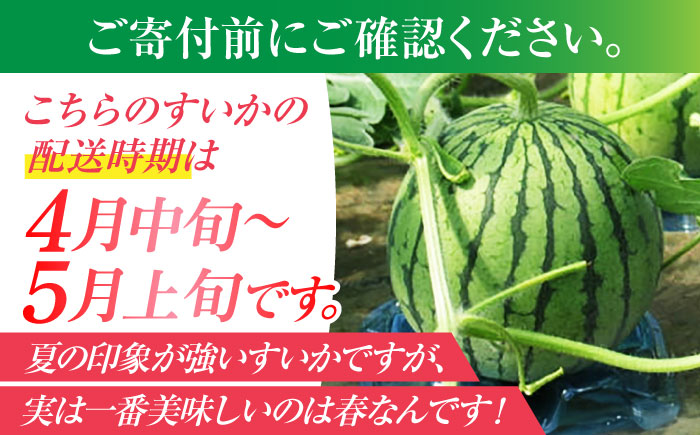 小玉 すいか 2玉入（1玉 約1.8kg～2.8kg）【鹿本農業協同組合】 [ZAG009]