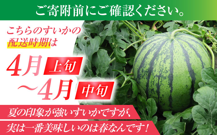 夢大地かもと すいか 1玉 Ｍサイズ（約5～5.8kg）【鹿本農業協同組合】 [ZAG010]