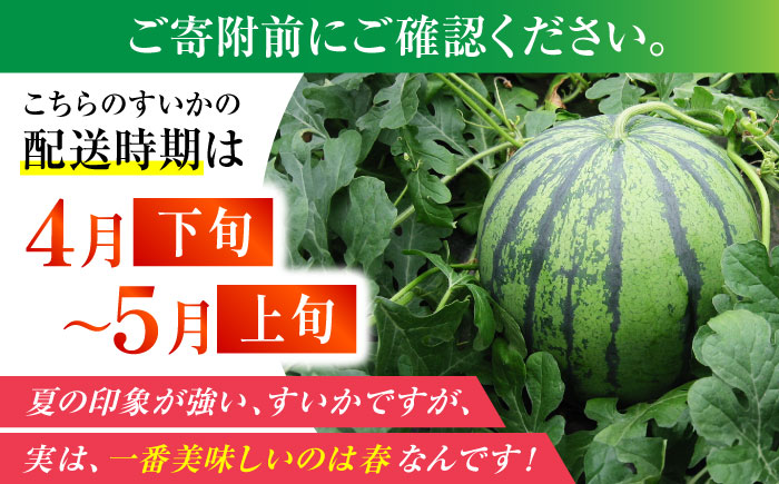 夢大地かもと すいか 2玉 Ｌサイズ（1玉 約6kg～6.8kg）【鹿本農業協同組合】 [ZAG012]