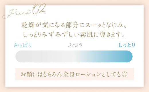 乙女の柔肌水＆乙女の柔肌ジェルクリーム55g セット 【株式会社 地の塩社】 [ZAN007]