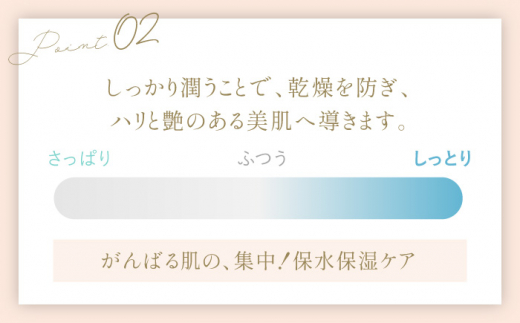 貴麗美人化粧水500ml×3本セット キレイビジン【株式会社 地の塩社】 [ZAN012]