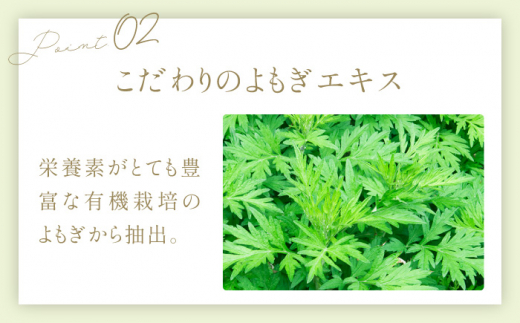 Ti-inaティーナ4点セット 山鹿市で栽培された岳間茶使用【株式会社 地の塩社】 [ZAN013]