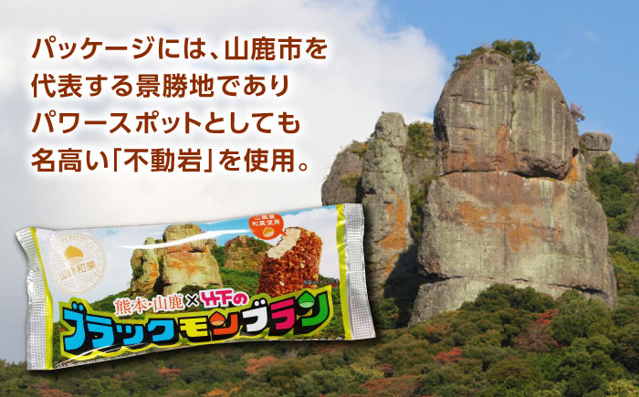 山鹿和栗×竹下製菓のブラックモンブラン 10本セット 【株式会社鹿本町振興公社】 [ZAO008]
