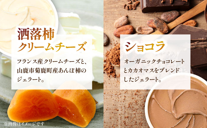 ジェラート 9個入り （ジャージーミルク、山鹿和栗、岳間抹茶 各2個 塩キャラメル、ショコラ、洒落柿クリームチーズ　各1個） （各100ml） 【株式会社パストラル】 [ZAR002]