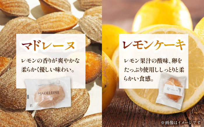 焼き菓子セット （中） （フィナンシェ2個、マドレーヌ2個、ガレットブルトンヌ2個、レモンケーキ2個、ブルドネージュ1ケース、サブレ1袋） 【株式会社パストラル】 [ZAR011]