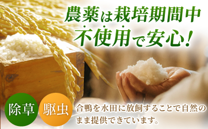 〈令和7年度新米〉 合鴨米 5kg 【あいがもん倶楽部】 新米 令和7年産 [ZAR026]