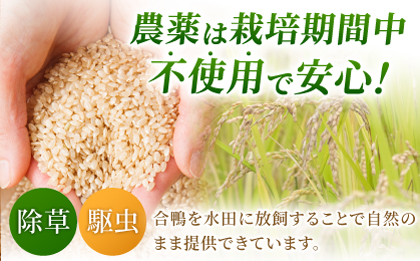〈令和7年度新米〉 合鴨玄米 5kg×2 計10kg 【あいがもん倶楽部】 新米 令和7年産 [ZAR029]