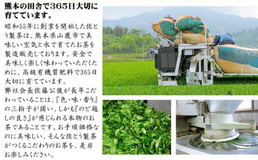 最高級 茶品評会 ブレンド茶 100g×6本セット 【有限会社 佐とう製茶】 [ZAS009]
