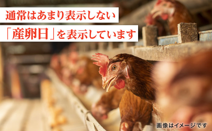 【全3回定期便】 たまご 30個 約2kg【マツヤマエッグファーム】 [ZAW006]