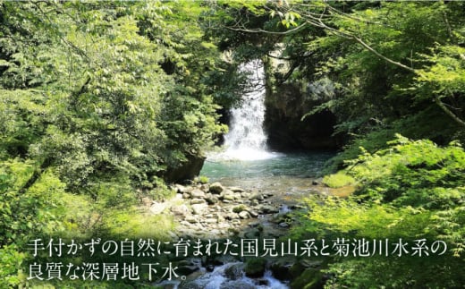 【ふるさと納税限定】山鹿蒸溜所 ニューポット＆ニューボーン飲み比べセット [ZAZ001]