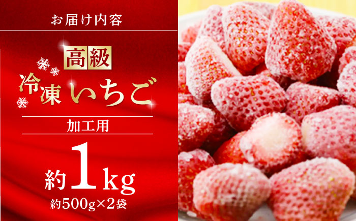 高級 冷凍  いちご 加工用 約1kg（約500g×2袋）【伊藤農園】 果物 フルーツ イチゴ いちご 苺 熊本県  [ZBB003]