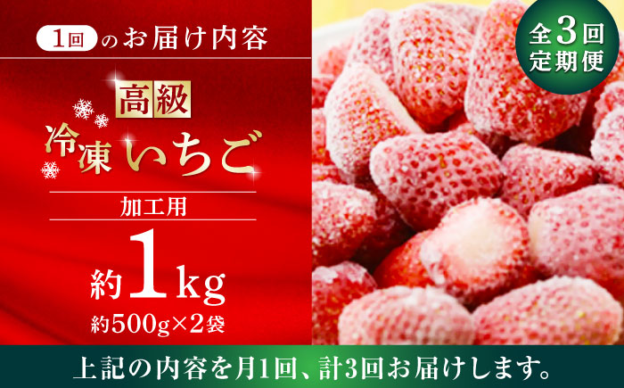 【3回定期便】高級 冷凍  いちご 加工用 約1kg（約500g×2袋）【伊藤農園】 恋みのり 冷凍 いちご 冷凍いちご 加工用  [ZBB015]