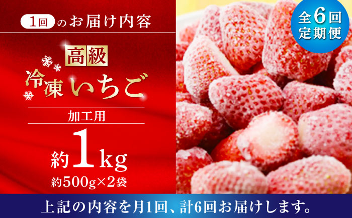 【6回定期便】高級 冷凍  いちご 加工用 約1kg（約500g×2袋）【伊藤農園】 恋みのり 冷凍 いちご 冷凍いちご  [ZBB016]