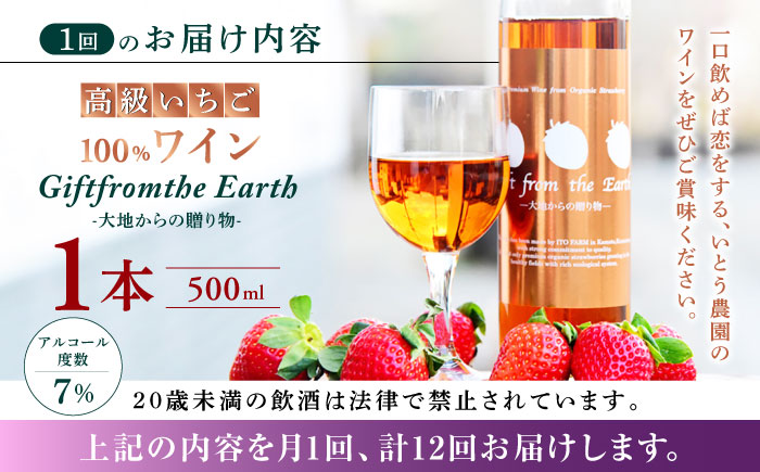 【12回定期便】高級 いちご 100％ワイン Giftfromthe Earth -大地からの贈り物- オーガニック【伊藤農園】 有機 お酒 ワイン オーガニックワイン  [ZBB020]