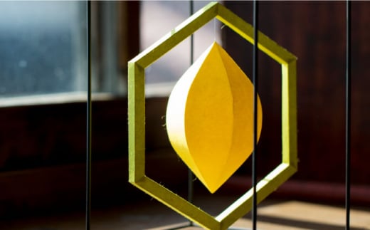 スタンドモビールTouRou「S-02Citrus」【ヤマノテ】 [ZBD011]