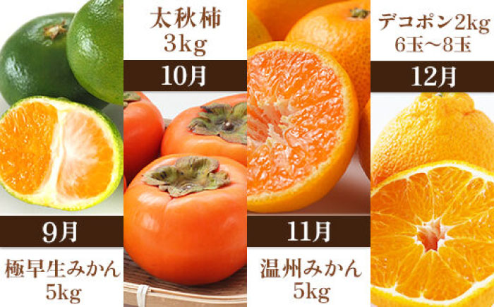 【先行予約】【全10回定期便】 プロが選ぶ！ 旬 の 果物 10ヶ月 定期便【くまふる】 フルーツ定期便 果物 くだもの 果物定期便  [ZBG005]