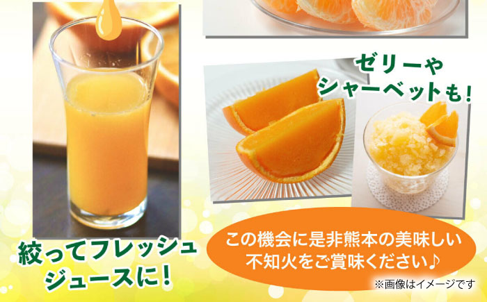 【先行予約】不知火 約5kg [ZBG010]