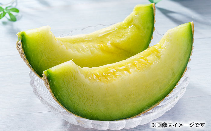 【先行予約】肥後グリーン 1玉【くまふる】 [ZBG022]