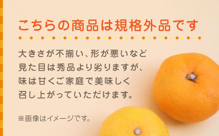 【先行予約】温州みかん約10kg　2S～2Lサイズ　【くまふる】 [ZBG049]