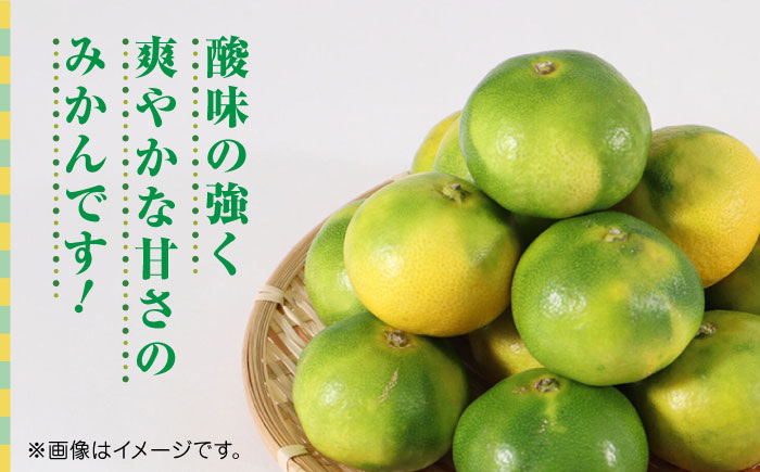 【先行予約】極早生みかん 約5kg　2S～2Lサイズ　【くまふる】 [ZBG057]