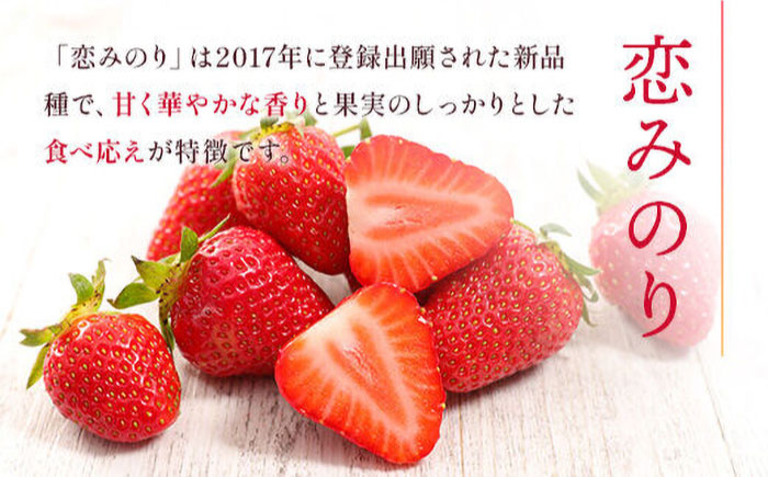 【先行予約】 ゆうべに・恋みのり 食べ比べセット 約1kg【くまふる】 [ZBG064]