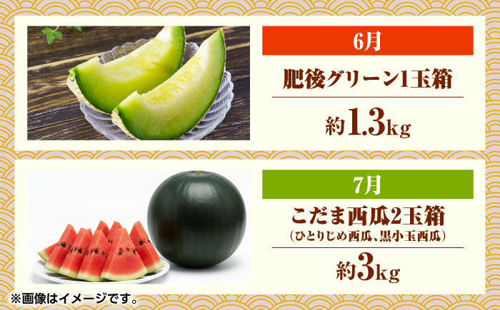 フルーツ6ヶ月定期便　【2月～7月】　【くまふる】 [ZBG077]