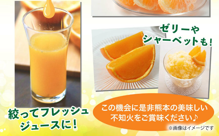 【先行予約】不知火 約3kg 【くまふる】 [ZBG080]