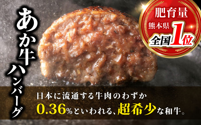 熊本旅行気分！ 馬刺しとあか牛ハンバーグセット【株式会社 利他フーズ】 [ZBK037]