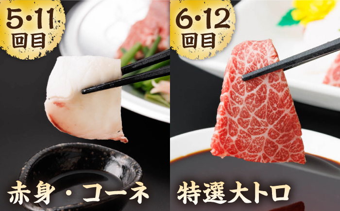 【12回定期便】毎月違う部位が届く！【馬刺しの郷 民守】 肉 馬肉 馬 熊本県 特産品 食べ比べ 赤身馬刺し  [ZBL020]
