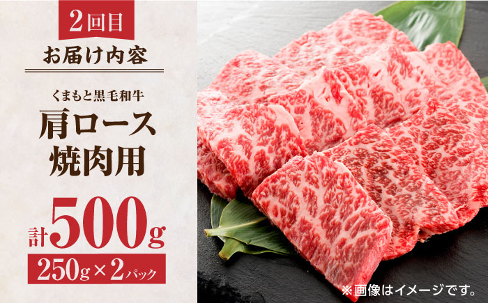 【3回定期便】くまもと黒毛和牛 贅沢定期便（ステーキ すき焼き しゃぶしゃぶ 焼肉）【馬刺しの郷 民守】 和牛 お肉 肉 ステーキ サーロイン  [ZBL035]