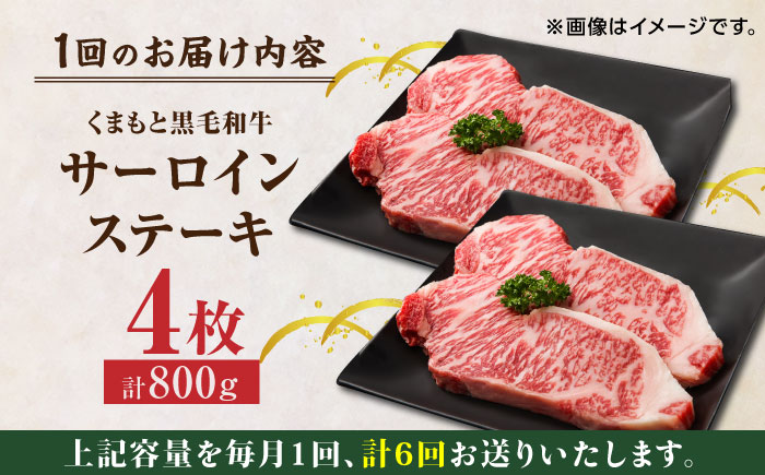 【6回定期便】くまもと黒毛和牛 サーロインステーキ 計800g（4枚）【馬刺しの郷 民守】 ステーキ サーロイン ヒレ 霜降り  [ZBL081]