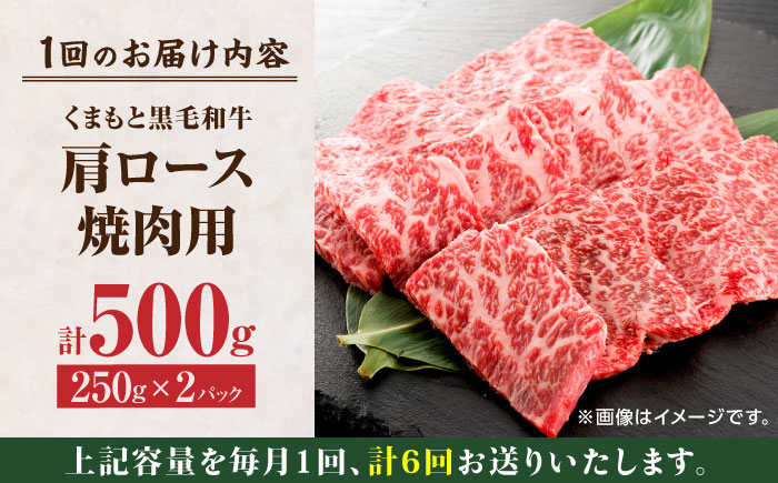 【6回定期便】くまもと黒毛和牛 焼肉用 肩ロース 500g（250g×2pc）【馬刺しの郷 民守】 熊本県産 九州産 和牛 お肉 肉 バラ 黒毛和牛  [ZBL092]
