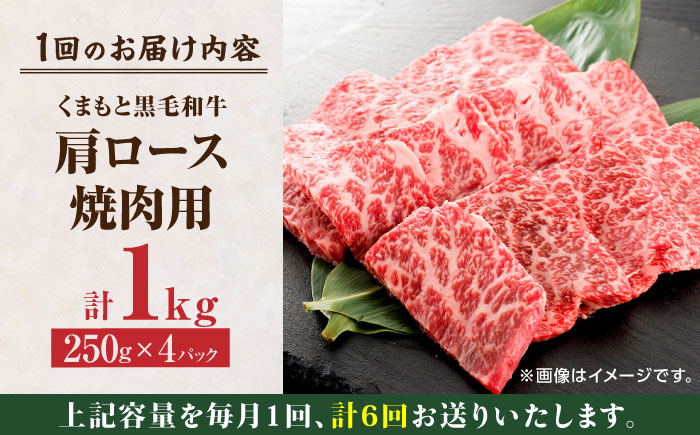 【6回定期便】くまもと黒毛和牛 焼肉用 肩ロース 1000g（250g×4pc）【馬刺しの郷 民守】 熊本県産 九州産 和牛 お肉 肉 バラ 黒毛和牛  [ZBL093]