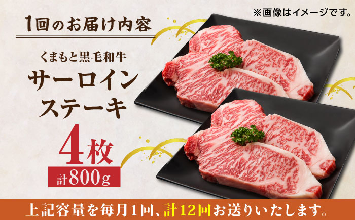【12回定期便】くまもと黒毛和牛 サーロインステーキ 計800g（4枚）【馬刺しの郷 民守】 ステーキ サーロイン ヒレ 霜降り 熊本 熊本県   [ZBL109]