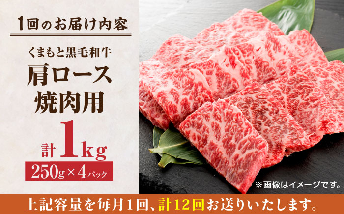 【12回定期便】くまもと黒毛和牛 焼肉用 肩ロース 1000g（250g×4pc）【馬刺しの郷 民守】熊本県産 九州産 和牛 お肉 肉 バラ 黒毛和牛  [ZBL121]