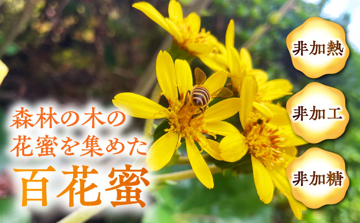 日本みつばち菊鹿約405g【山麓はっち】 [ZBM010]