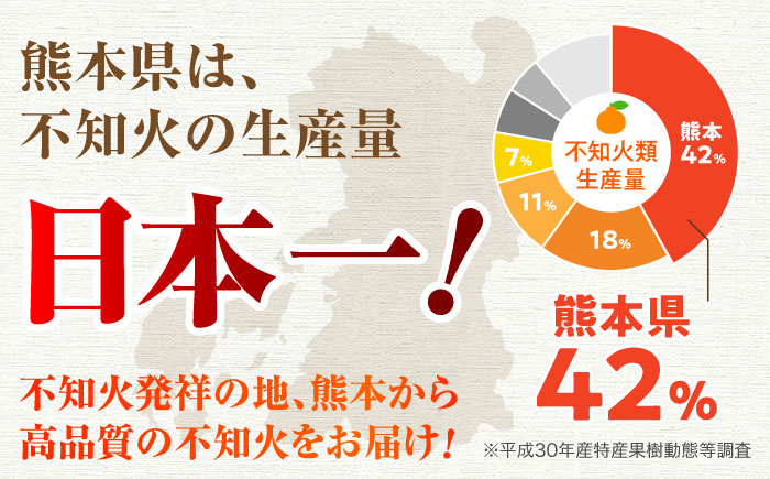 【2026年3月下旬から発送】柑橘の王様 ハウス栽培 不知火 デコポン 約3kg（7～12玉）みかん ミカン 果物 くだもの フルーツ かんきつ 熊本県産 秀 しらぬい しらぬひ  【小春農園】 [ZBN003]