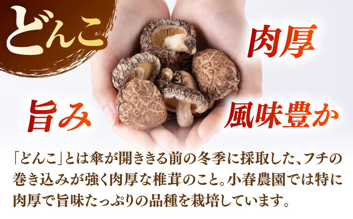 【全3回定期便】  原木 栽培 干し 椎茸 どんこ 小粒 約500g(100g×5袋) 【小春農園】 [ZBN006]